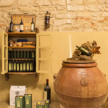 Castello Di Volognano * Понтассьеве